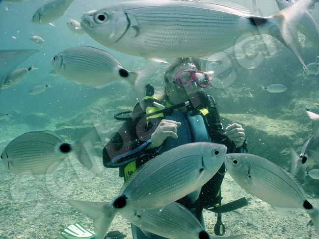 Discover Scuba Divers at Green Bay